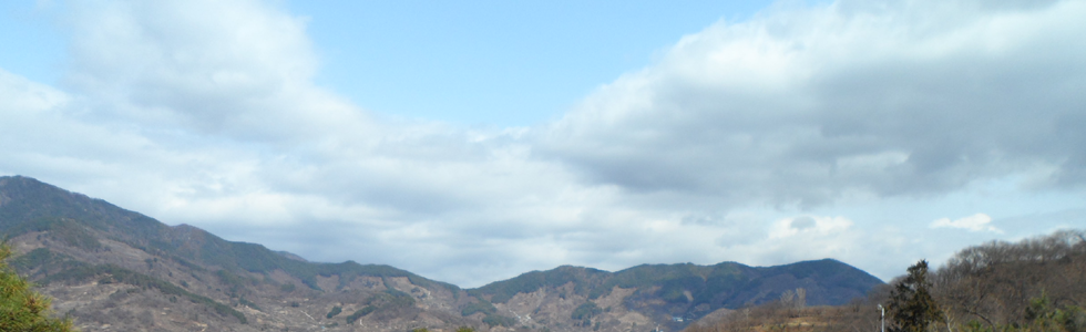 ¹«·á¿î¼¼ º¸´Â ½Ã±â